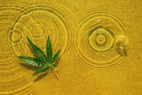 Quelles sont les réglementations en vigueur concernant la résine de plante                                                                      et son utilisation ?