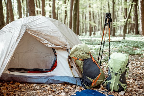 Camping Dordogne : pour un environnement propice à la tranquillité